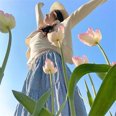 汪汪队立大功第七季